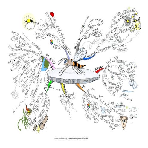 The big fight in the little insect Mind Map