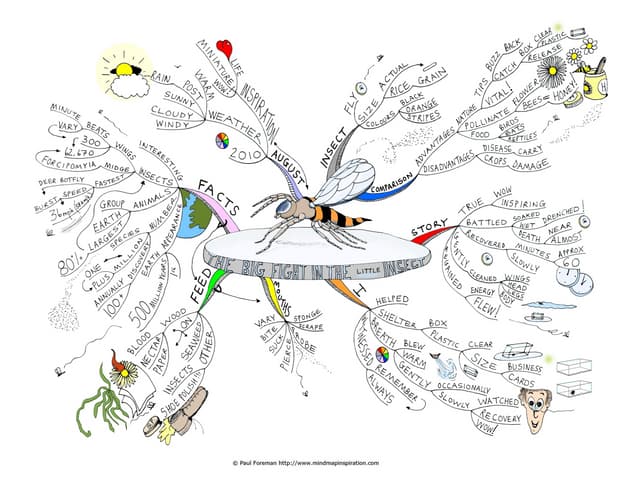 The big fight in the little insect Mind Map