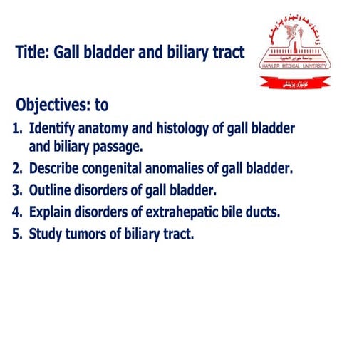 The biliary tract