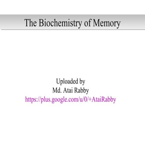 The biochemistry of memory