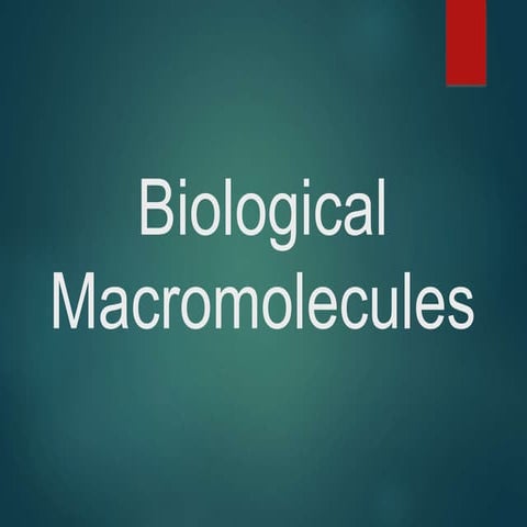 The Biological Macromolecules 2022.ppt