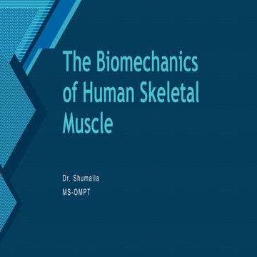 The Biomechanics of Human Skeletal Muscle-B.pptx