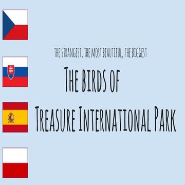 The birds of treasure international park   