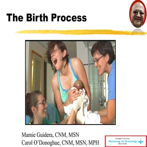 The birth process | PPT