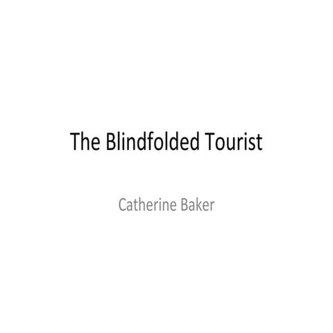 The Blindfolded Tourist 