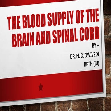 BLOOD SUPPLY OF BRAIN AND SPINAL CORD