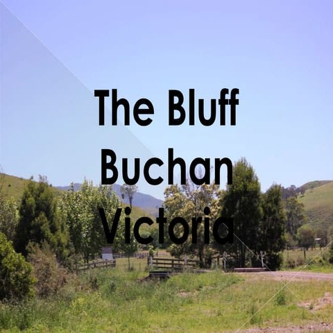 The Bluff