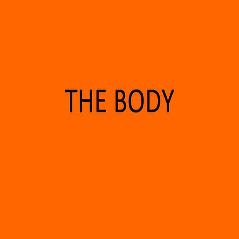 The body