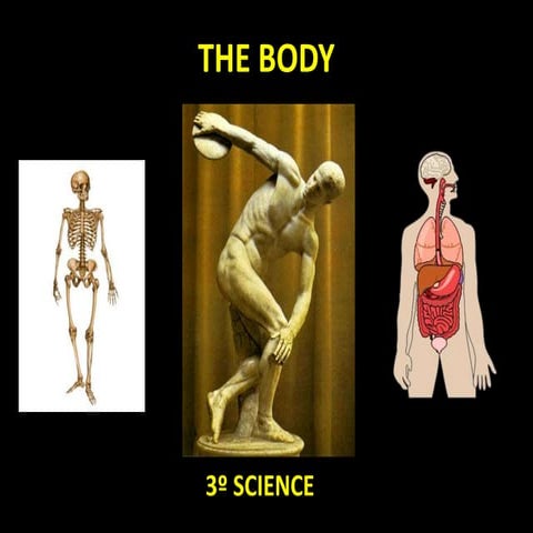 Cbse 4th science my body : Internal organs | PPTX