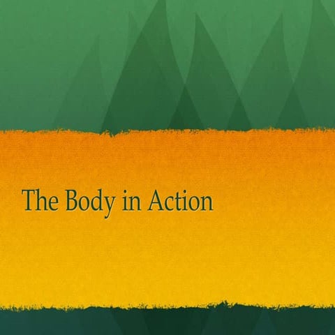 The body in action ro