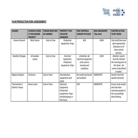 Audiovisual media- Risk assessment | DOCX