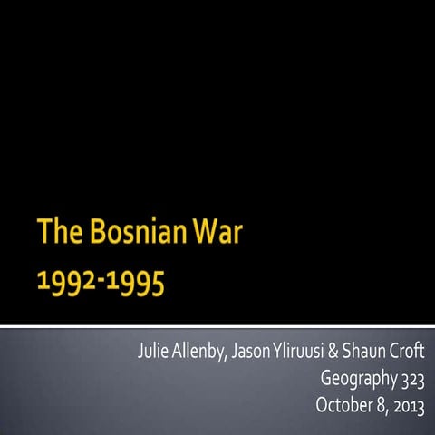 The bosnian war