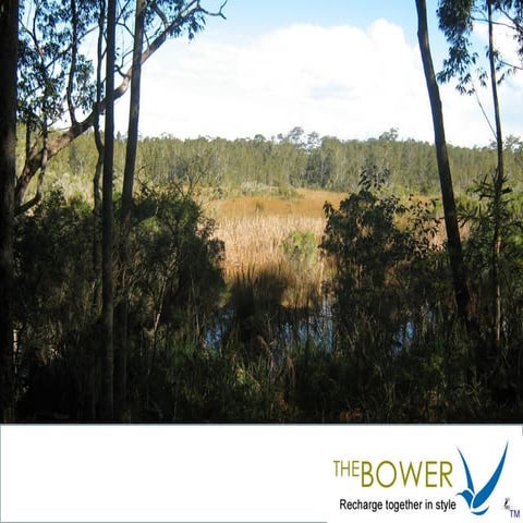 The bower  pre- DA meeting vision presentation 4