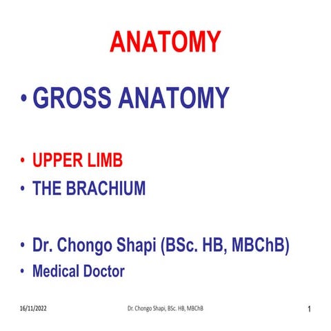 The Brachium by Shapi.pdf