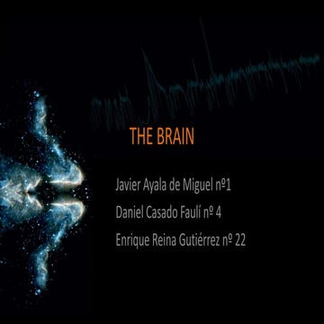 The brain