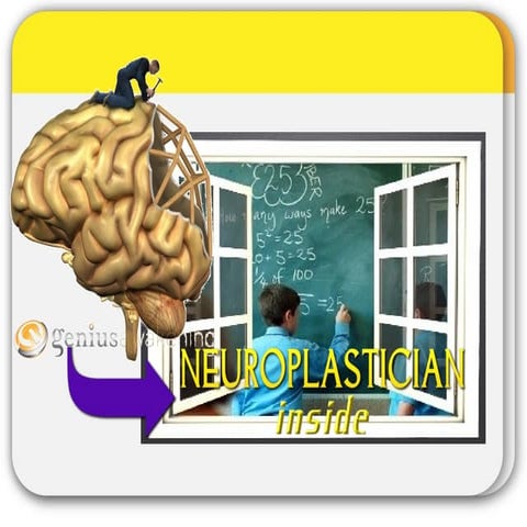 The ENGLISH TEACHER - the NEUROPLASTICIAN in the classroom