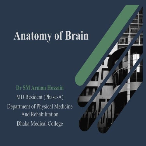 The Brain Anatomy by Dr Arman Hossain 