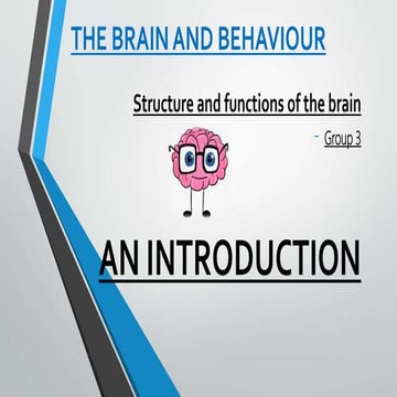 The brain and behaviour