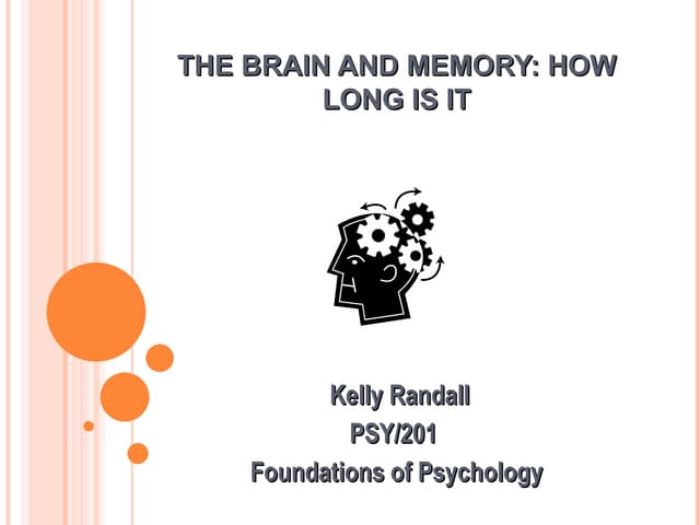 The brain and memory, how long is it