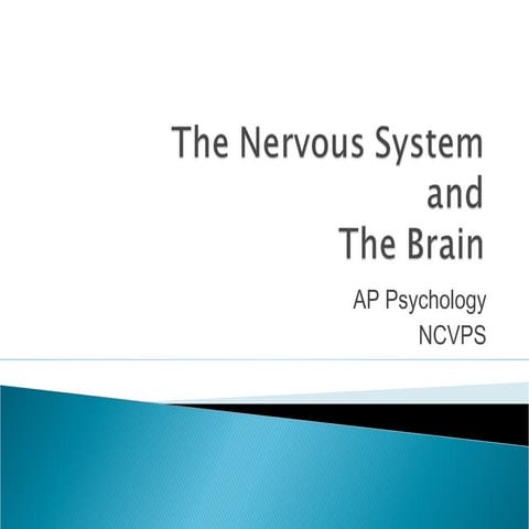 The brain and nervous system(1)