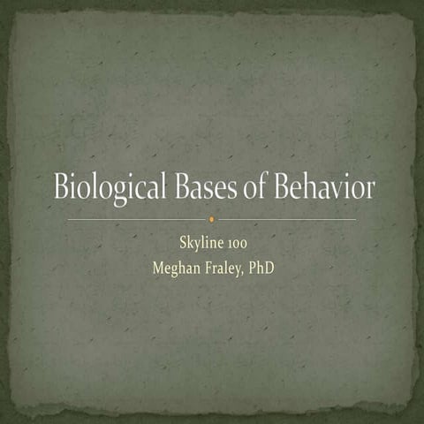 The Brain & the Nervous System