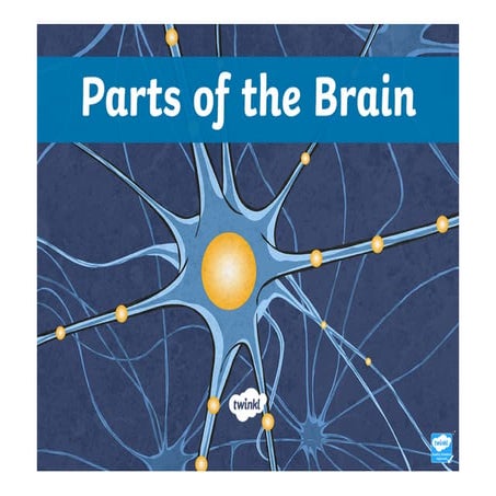 Brain | PPTX