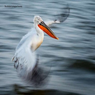 The British Ecological Society:Winners & Finalists