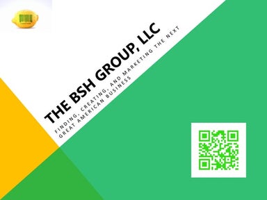 About The BSH Group, LLC