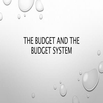The budget and the budget system.pptx