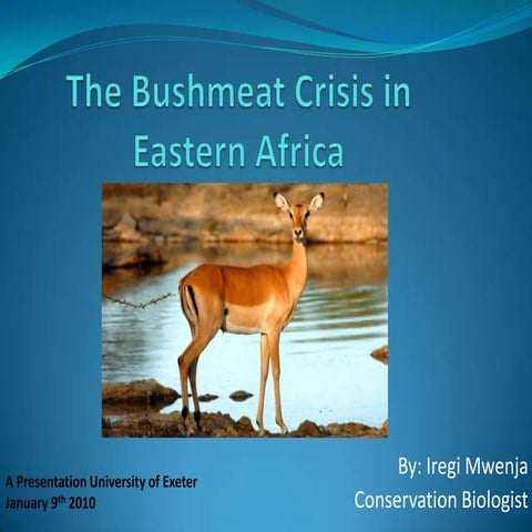The Bushmeat Crisis In Eastern Africa – Presentation to the University of Exeter