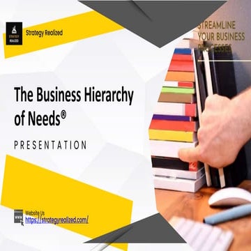 Understanding The Business Hierarchy of Needs®