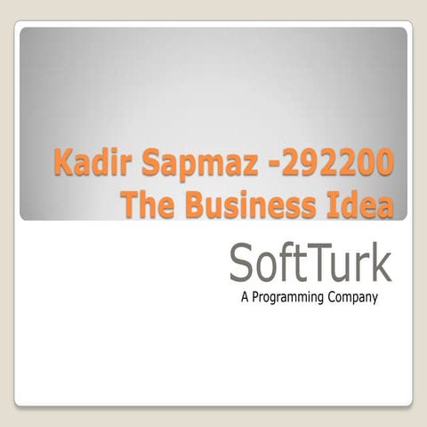 Kadir Sapmaz - 292200 ( The business Idea )