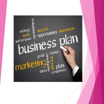 The business plan