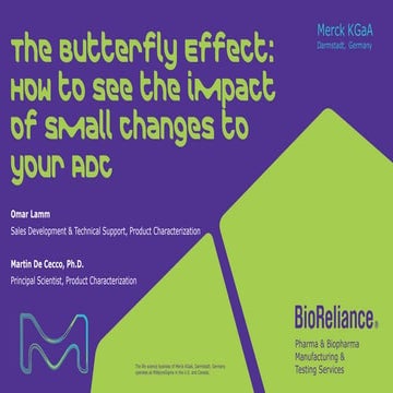 The Butterfly Effect: How to see the impact of small changes to your ...