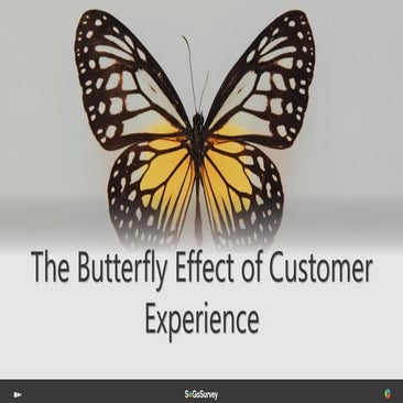 The Butterfly Effect of Customer Experience