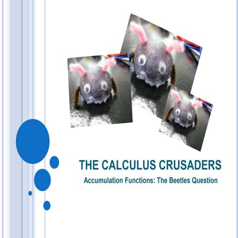 The Calculus Crusaders Accumulation Function