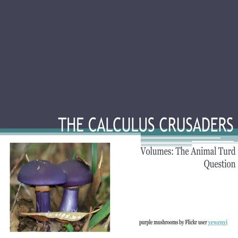 The Calculus Crusaders Volume