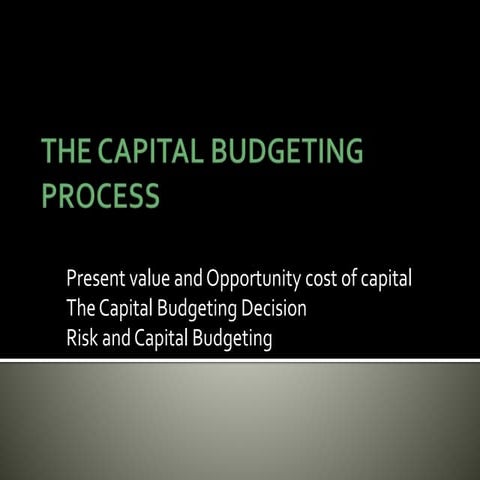 The capital budgeting process