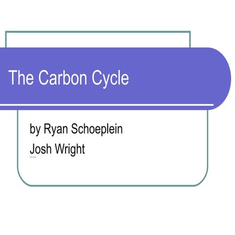 Carbon Cycle Guided Notes.pdf environmental science | PDF