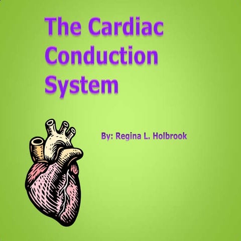 The cardiac conduction_system