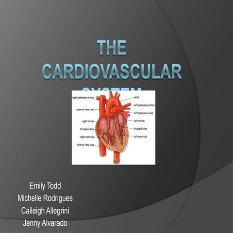 The cardiovascular system | PPTX