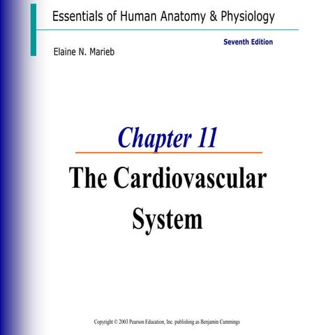 The cardiovascular system.ppt