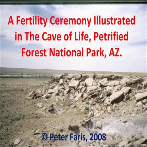 The cave of life, petrified forest national
