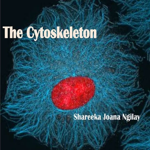 Cytoskeleton