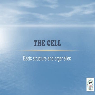 The cell - basic structure and organelles