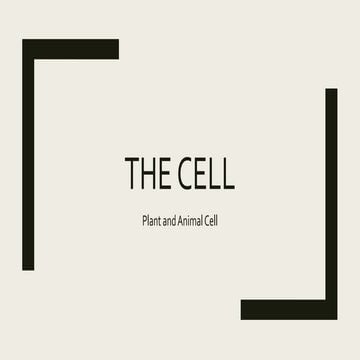 The cell