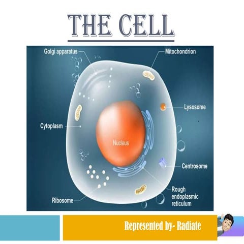The Cell 