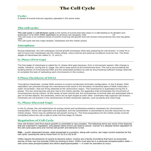 The cell cycle by Sami