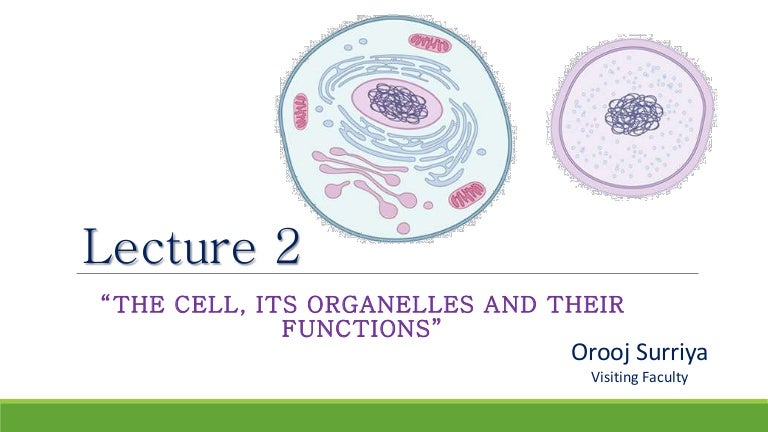The cell its organells and their functions