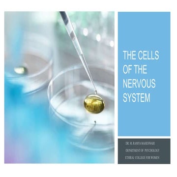 The CELLS OF THE NERVOUS SYSTEM.pptx